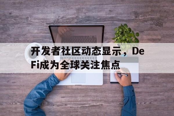 关于开发者社区动态显示，DeFi成为全球关注焦点的信息